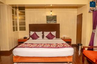 Himalayan Resort By Divine Hotels - 4