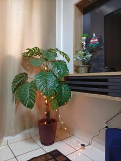 Apartamento Rainha Turquesa - 2