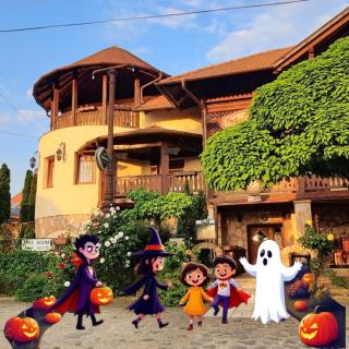 Castle Wellness Resort & SPA Sóstó 50 eur room - 6