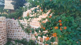 Le Chalet di Tabarka - 8