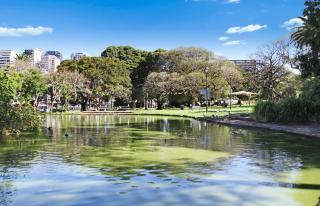 Central Burwood Shared Stay - 8