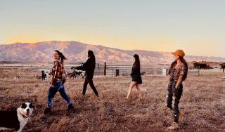 The Pink Pony Yurt, New Cuyama, CA - 6