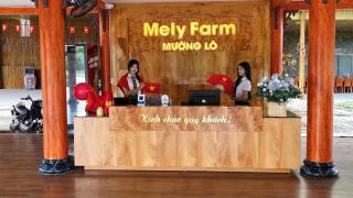 Mely Farm Mường Lò - 6