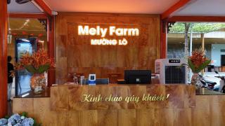 Mely Farm Mường Lò - 6