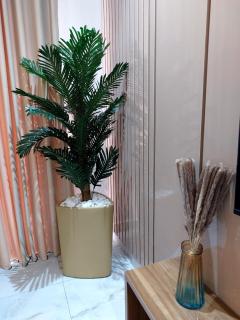 The SoftLife Apartment - 3