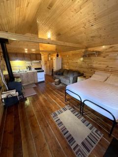 Schinzel Flats Hideaway near Pagosa Springs, CO - 9