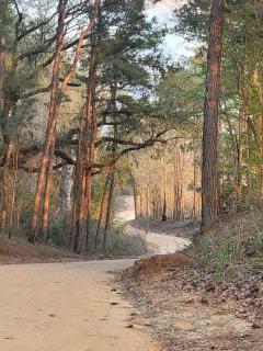Perfect Couple's or Solo Getaway: 1840s Log Cabin, Claxton, GA - Claxton - 8
