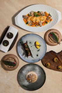 Casa Beatnik Country House - 1