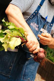 Casa Beatnik Country House - 4