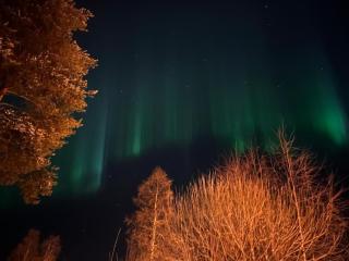 Cozy detached house near the city - 4