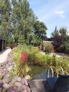 Studio with Pool Table and Optional Sauna & Hot Tub - 3