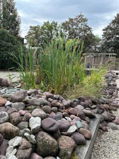 Studio with Pool Table and Optional Sauna & Hot Tub - 1