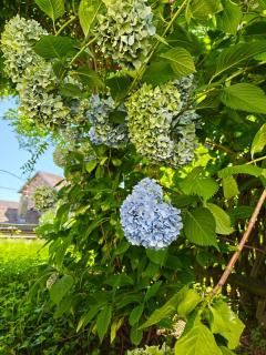 Home and garden nestled in Ameno - Ameno - 4