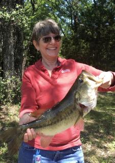 Texas Safari Camp Hummingbird Tree House - 4