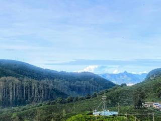 House of Leisure - 8