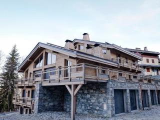 Appartement 12 pers avec WiFi et parking - La Tania - FR-1-513-17 - 3