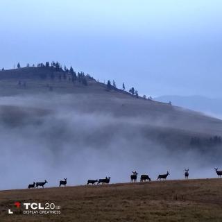 Beautiful Dome for a Romantic Glamping Escape with Breathtaking Views in Montana - 4
