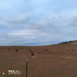 Beautiful Dome for a Romantic Glamping Escape with Breathtaking Views in Montana - 3