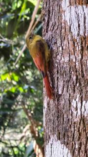 Vila Carmen Imperial - 6