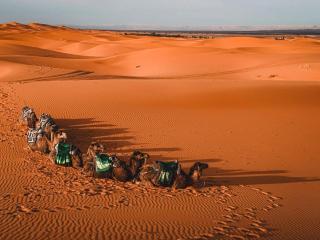 Hayati Desert Luxury Camp - Best Overnight Camp Merzouga - 0