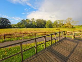 Tiny House mit Pferdeblick - 8