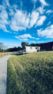 Tiny House mit Pferdeblick - 1