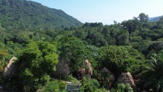 The Valley Tayrona hostel- A social jungle hostel - 8
