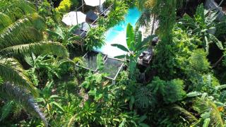 The Valley Tayrona hostel- A social jungle hostel - 2