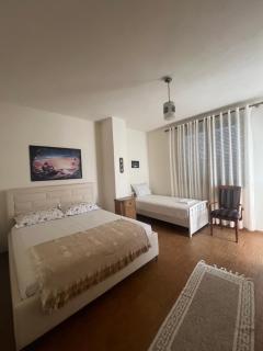 Shtepi Pushimi Pogradec - 1