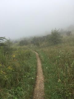 Cozy Cabin in the Idyllic Blue Ridge Mountains, Virginia - 1