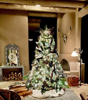 Casa Calma in Santa Fe NM - 8