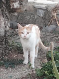 The Garden House - 5