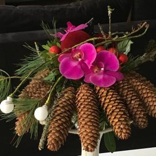 Villa Sérénité appartement au centre ville n 5 - 6