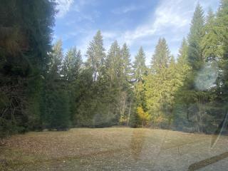 Romantic Tiny House in the Heart of Šumava - 1