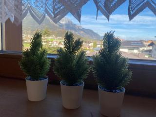 Ferienwohnung im Herzen Tirols - 4