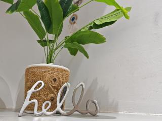 Le Jasmin Appartement - 1