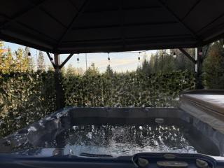 Pine Marten Wilderness Cabin - 6