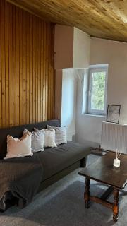 Cozy Mountain Home in Predeal - 0