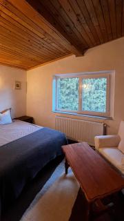 Cozy Mountain Home in Predeal - 4