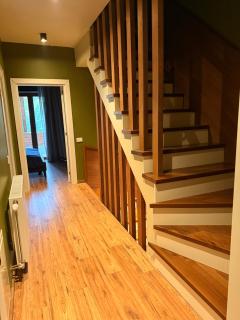 Luxury villa in Brezovica - 4