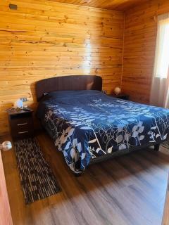 Cabaña Ñiucho Dalcahue - 3