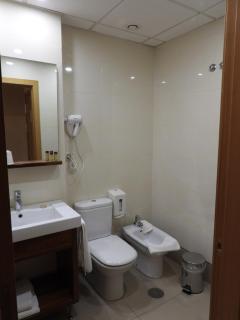 Hotel Ruta de la Plata de Asturias - 4