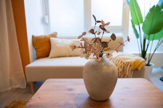 Cozy studio 15 minutes from Bad Saarow thermal bath - 9