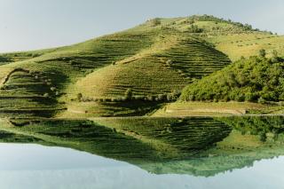 Quinta do Vale da Ermida - Private Heated Pool - by MET - 8