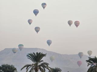 nile shores hotel - 9