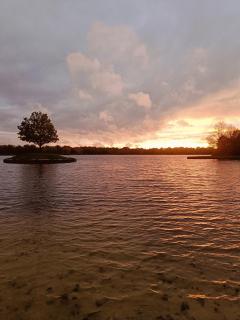 Gemütliche FeWo mit Badeseeblick - Klimafreundlich - 9
