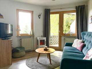 Fewo Herzgrün nähe Skilift & Loipe mit Sauna im Haus und Traumblick E-Ladestation - 6