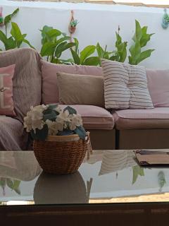 CASA RURAL ALEGRÍA - 0