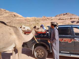 Wadi Rum Red Desert - 4