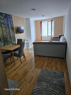 AiM apartman Bjelasnica - 8